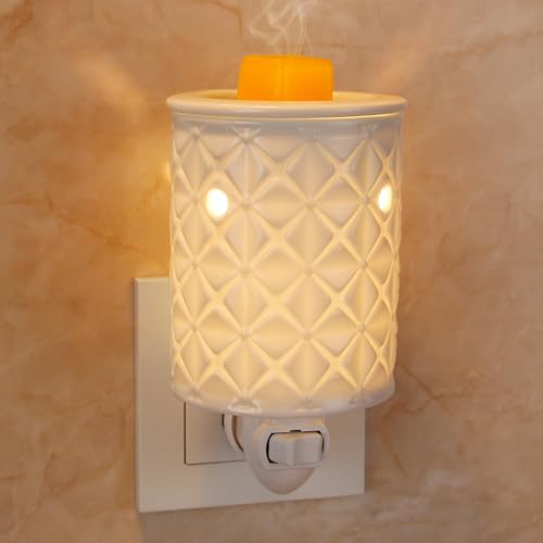 Plug-in warmers